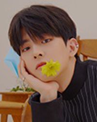 郑秀彬 Su-bin Jung